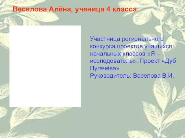 Веселова Алёна, ученица 4 класса Участница регионального конкурса проектов учащихся начальных классов