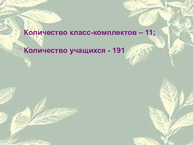 Количество класс-комплектов – 11; Количество учащихся - 191