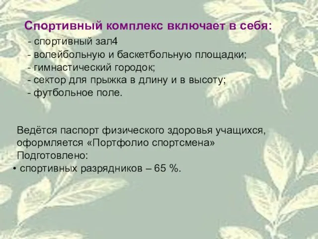 Спортивный комплекс включает в себя: - спортивный зал4 - волейбольную и баскетбольную