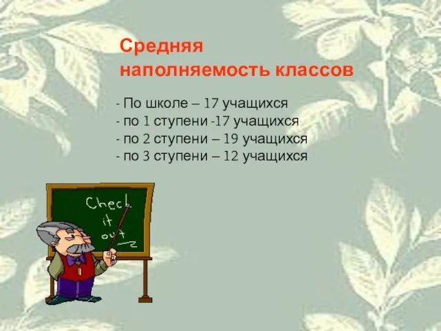 Средняя наполняемость классов По школе – 17 учащихся по 1 ступени -17