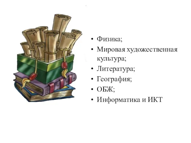 Физика; Мировая художественная культура; Литература; География; ОБЖ; Информатика и ИКТ