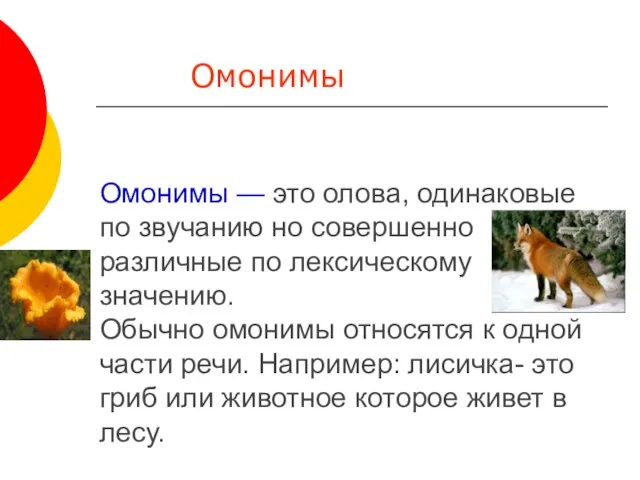 Омонимы — это олова, одинаковые по звучанию но совершенно различные по лексическому