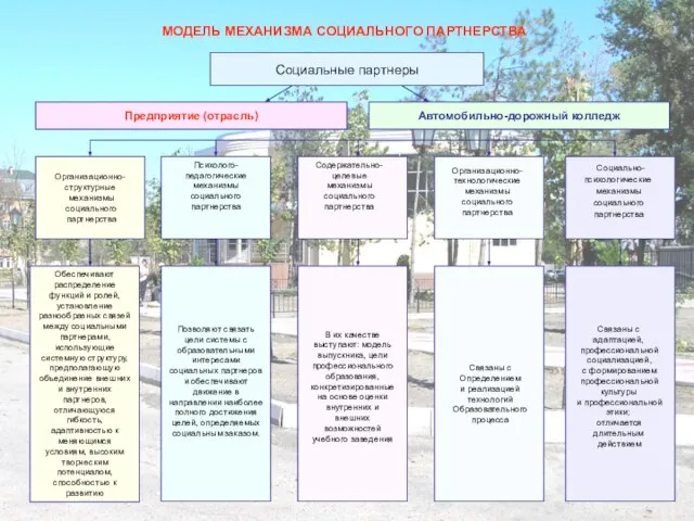 Социальные партнеры МОДЕЛЬ МЕХАНИЗМА СОЦИАЛЬНОГО ПАРТНЕРСТВА Предприятие (отрасль) Автомобильно-дорожный колледж Организационно- структурные