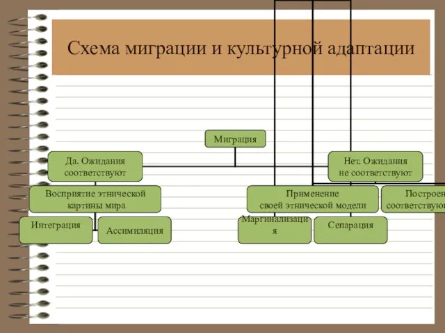 Схема миграции и культурной адаптации