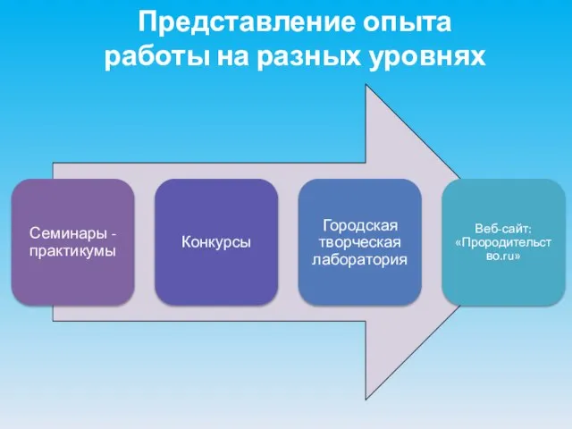 Представление опыта работы на разных уровнях