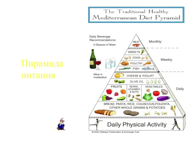 Пирамида питания