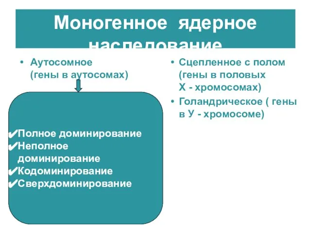 Моногенное ядерное наследование Аутосомное (гены в аутосомах) Сцепленное с полом (гены в