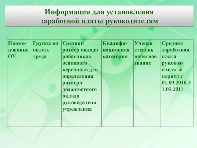 Информация для установления заработной платы руководителям