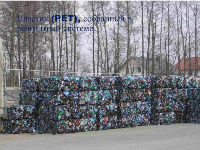 Пластик (PET), собранный в депозитной системе