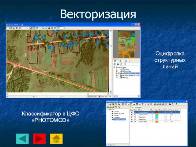 Векторизация Оцифровка структурных линий Классификатор в ЦФС «PHOTOMOD»