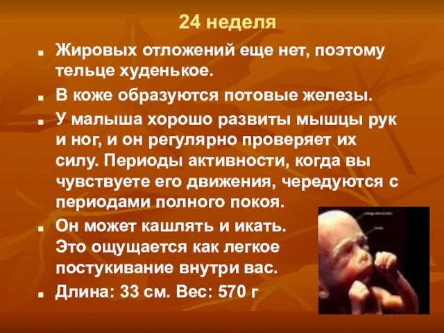 24 неделя Жировых отложений еще нет, поэтому тельце худенькое. В коже образуются