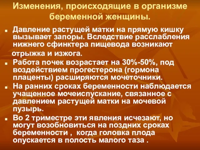 Изменения, происходящие в организме беременной женщины. Давление растущей матки на прямую кишку