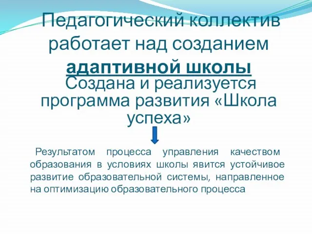 Педагогический коллектив работает над созданием адаптивной школы Создана и реализуется программа развития