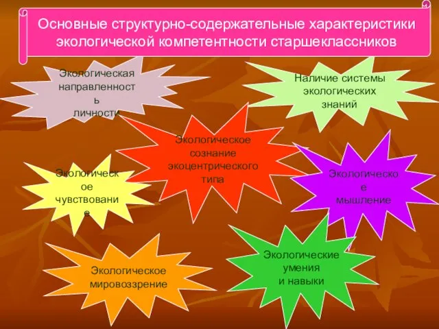 Экологическая направленность личности Наличие системы экологических знаний Экологическое сознание экоцентрического типа Экологическое