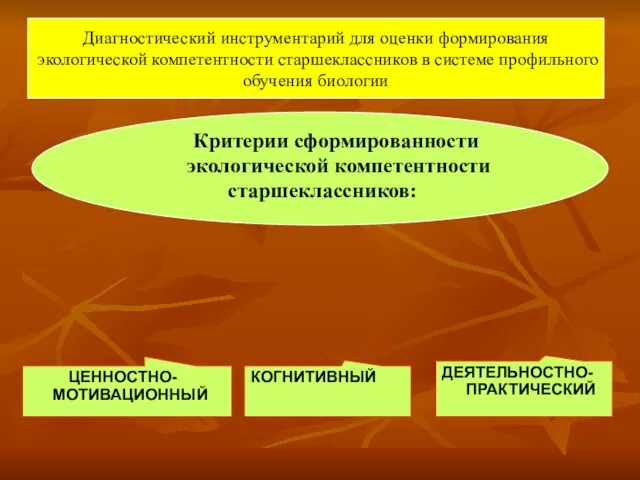 Диагностический инструментарий для оценки формирования экологической компетентности старшеклассников в системе профильного обучения