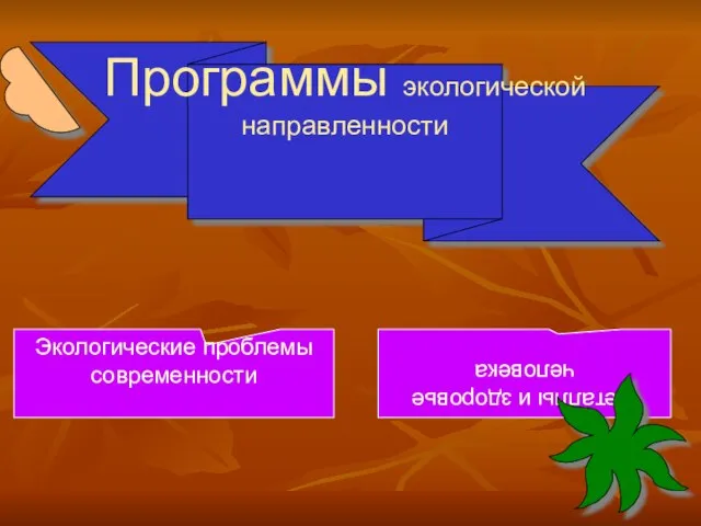 Программы экологической направленности Экологические проблемы современности Металлы и здоровье человека