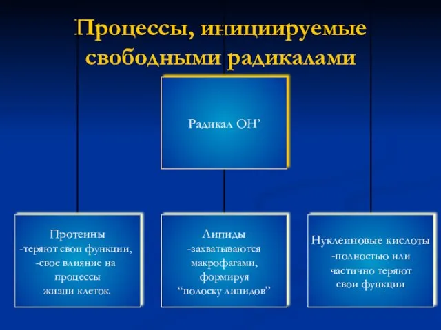 Процессы, инициируемые свободными радикалами