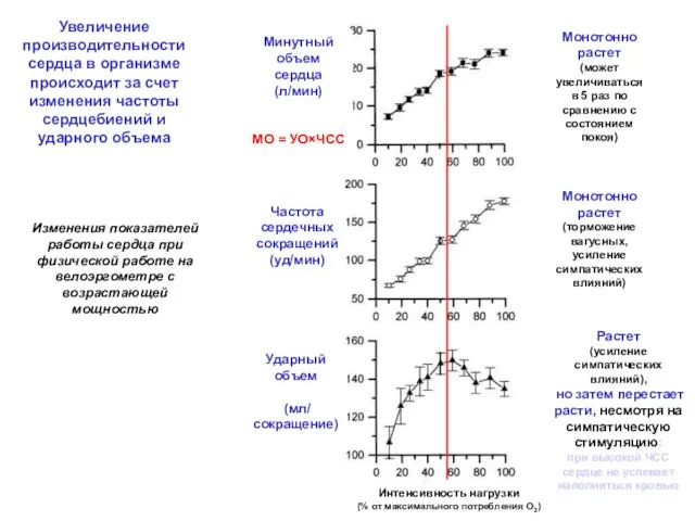 Минутный объем сердца (л/мин) МО = УО×ЧСС Частота сердечных сокращений (уд/мин) Ударный