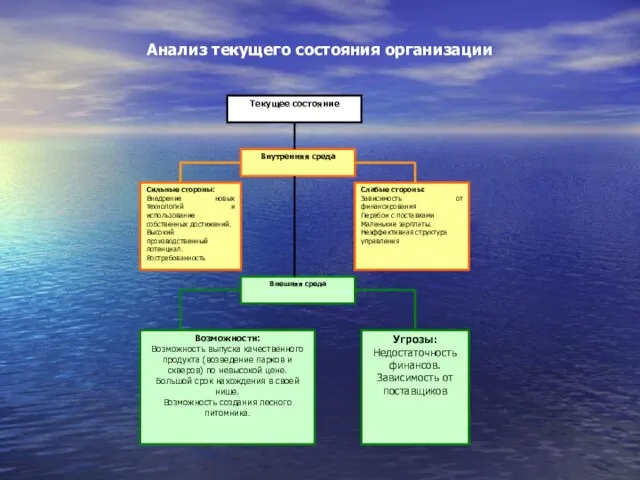 Анализ текущего состояния организации