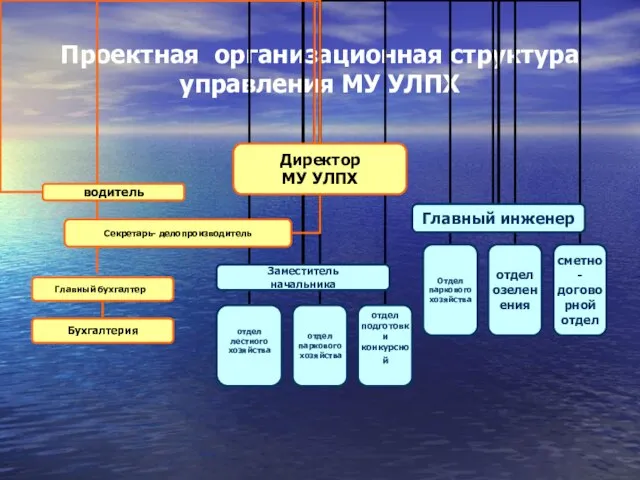 Проектная организационная структура управления МУ УЛПХ