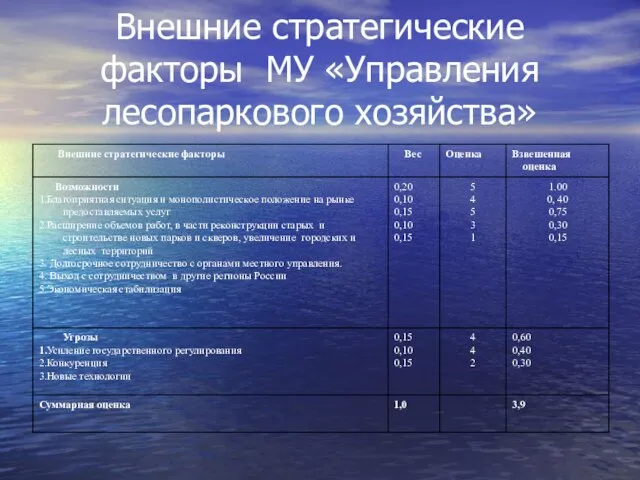 Внешние стратегические факторы МУ «Управления лесопаркового хозяйства»