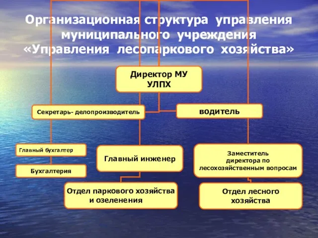 Организационная структура управления муниципального учреждения «Управления лесопаркового хозяйства»