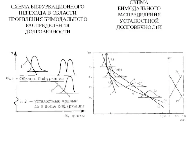 СХЕМА БИФУРКАЦИОННОГО ПЕРЕХОДА В ОБЛАСТИ ПРОЯВЛЕНИЯ БИМОДАЛЬНОГО РАСПРЕДЕЛЕНИЯ ДОЛГОВЕЧНОСТИ СХЕМА БИМОДАЛЬНОГО РАСПРЕДЕЛЕНИЯ УСТАЛОСТНОЙ ДОЛГОВЕЧНОСТИ