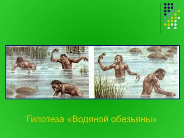 Гипотеза «Водяной обезьяны»