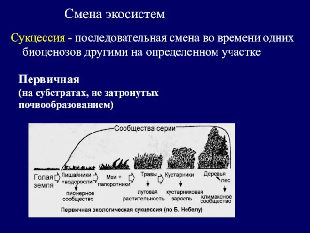 Смена экосистем Сукцессия - последовательная смена во времени одних биоценозов другими на