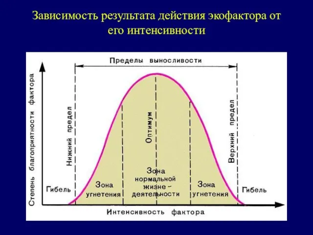 Зависимость результата действия экофактора от его интенсивности