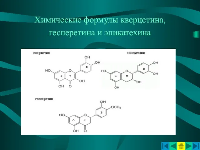Химические формулы кверцетина, гесперетина и эпикатехина