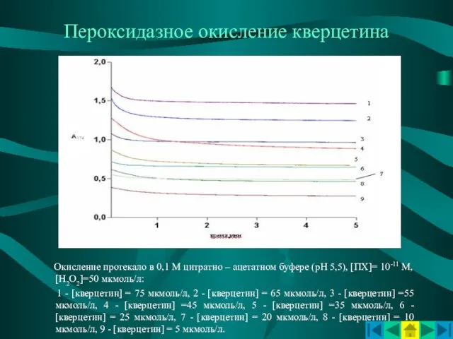 Пероксидазное окисление кверцетина Окисление протекало в 0,1 М цитратно – ацетатном буфере