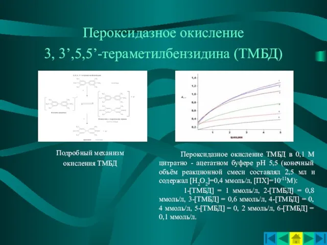 Пероксидазное окисление 3, 3’,5,5’-тераметилбензидина (ТМБД) Подробный механизм окисления ТМБД