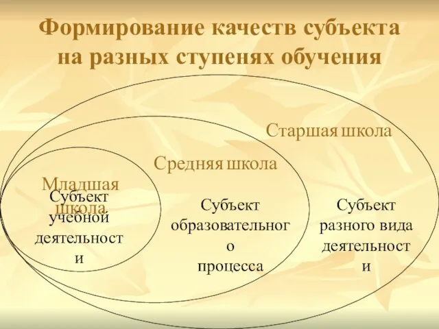 Формирование качеств субъекта на разных ступенях обучения Субъект учебной деятельности Субъект образовательного