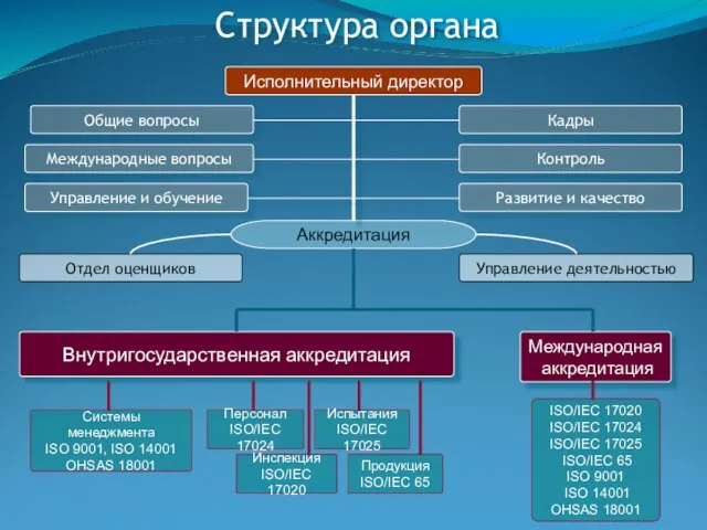 Структура органа Исполнительный директор Общие вопросы Международные вопросы Управление и обучение Кадры