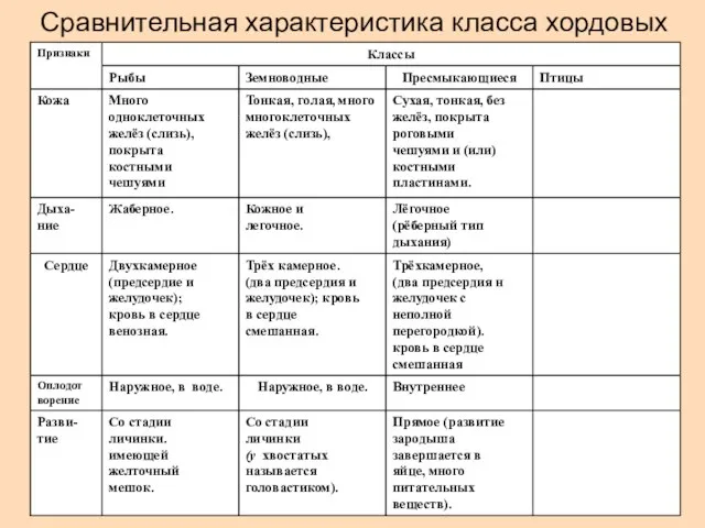 Сравнительная характеристика класса хордовых