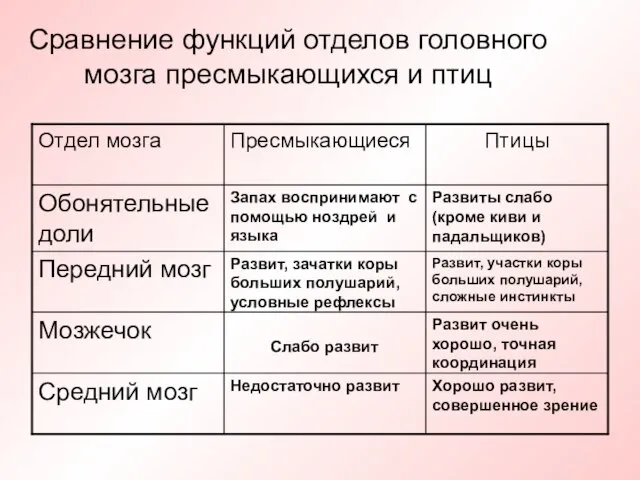 Сравнение функций отделов головного мозга пресмыкающихся и птиц Хорошо развит, совершенное зрение