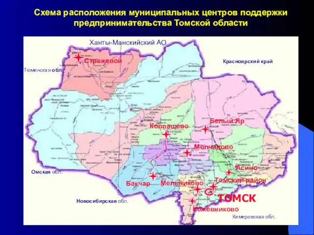 ТОМСК Томский район Молчаново Колпашево Бакчар Асино Белый Яр Кожевниково Мельниково Стрежевой