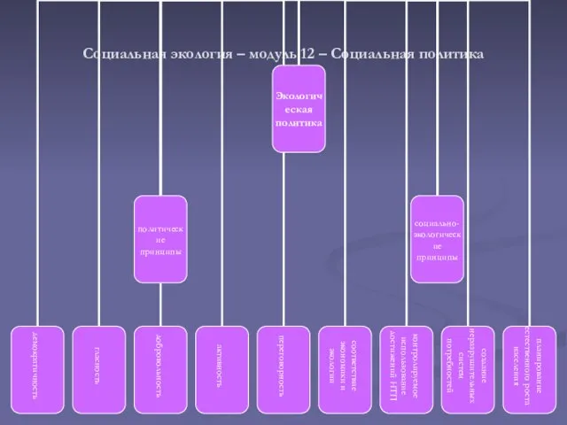 Социальная экология – модуль 12 – Социальная политика