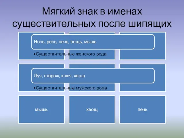 Мягкий знак в именах существительных после шипящих луч ночь речь сторож ключ