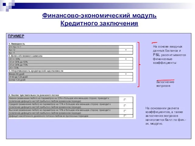 Финансово-экономический модуль Кредитного заключения ПРИМЕР На основе вводных данных Баланса и P&L