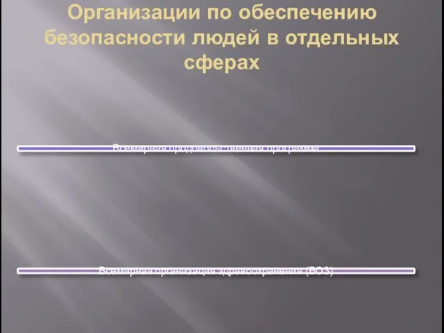 Организации по обеспечению безопасности людей в отдельных сферах Всемирная продовольственная программа Всемирная организация здравоохранения (ВОЗ)