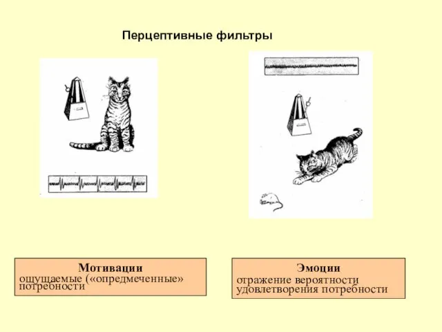 Перцептивные фильтры Мотивации ощущаемые («опредмеченные» потребности Эмоции отражение вероятности удовлетворения потребности