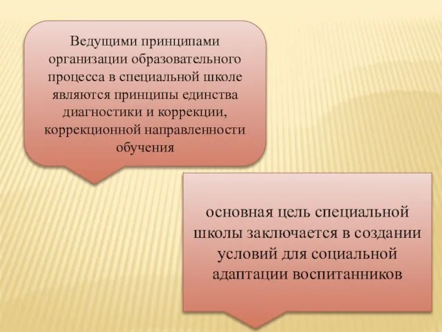 Ведущими принципами организации образовательного процесса в специальной школе являются принципы единства диагностики