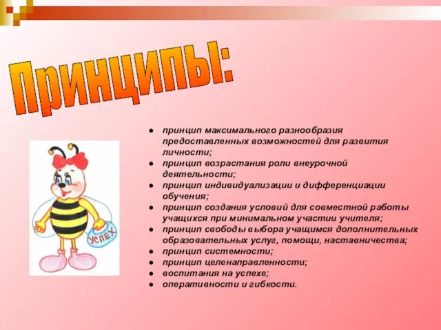 Принципы: принцип максимального разнообразия предоставленных возможностей для развития личности; принцип возрастания роли