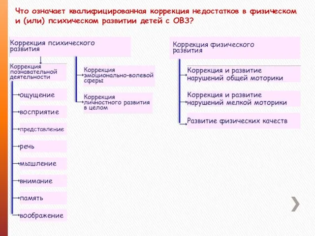 Что означает квалифицированная коррекция недостатков в физическом и (или) психическом развитии детей