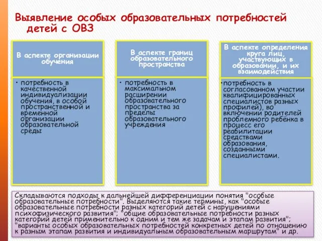 Складываются подходы к дальнейшей дифференциации понятия "особые образовательные потребности". Выделяются такие термины,