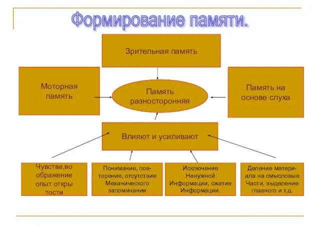 Формирование памяти. Влияют и усиливают Память разносторонняя Чувства,во ображение опыт откры тости