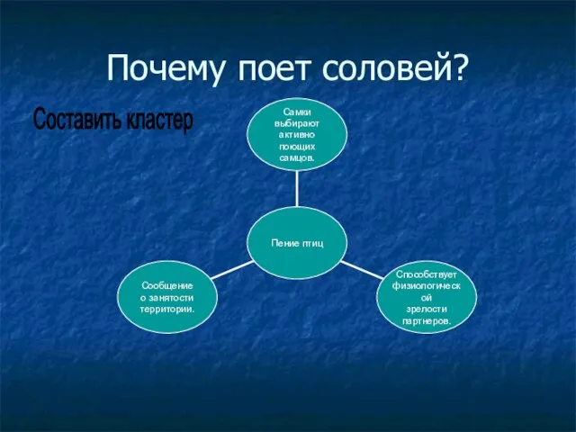 Почему поет соловей? Составить кластер