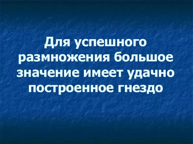 Для успешного размножения большое значение имеет удачно построенное гнездо